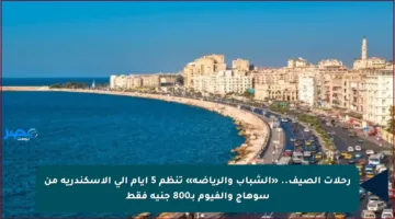 رحلات الصيف.. «الشباب والرياضة» تنظم 5 أيام إلى الإسكندرية من سوهاج والفيوم بـ800 جنيه فقط